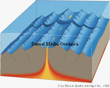 Fossas oceânicas: profundidade ao extremo